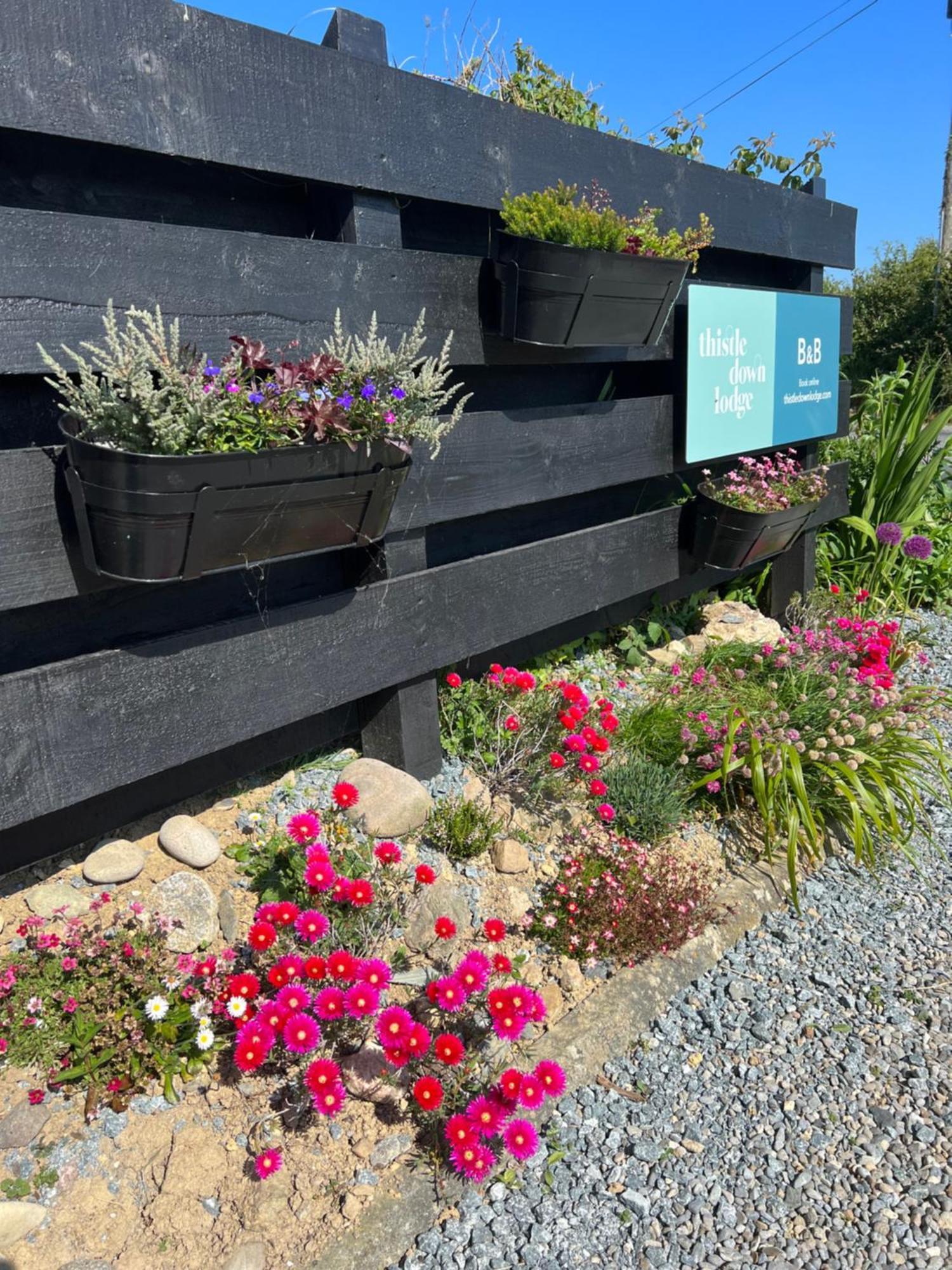 Thistledown Lodge Fethard on Sea Exterior foto
